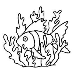 Раскраска: коралловый (природа) #163133 - Раскраски для печати