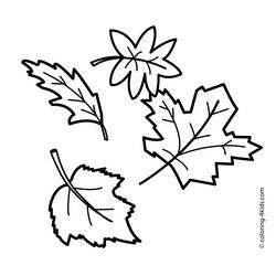 Раскраска: Осенний сезон (природа) #164051 - Раскраски для печати
