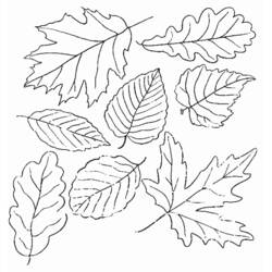 Раскраска: Осенний сезон (природа) #164052 - Раскраски для печати