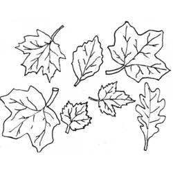 Раскраска: Осенний сезон (природа) #164059 - Раскраски для печати