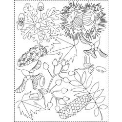 Раскраска: Осенний сезон (природа) #164066 - Бесплатные раскраски для печати