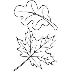 Раскраска: Осенний сезон (природа) #164093 - Бесплатные раскраски для печати