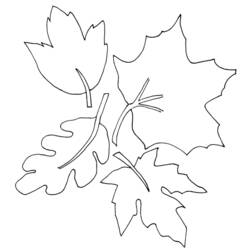 Раскраска: Осенний сезон (природа) #164184 - Бесплатные раскраски для печати