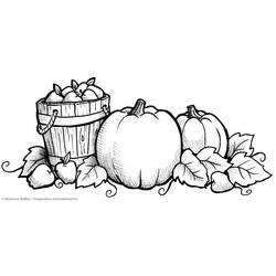 Раскраска: Осенний сезон (природа) #164228 - Раскраски для печати