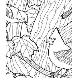 Раскраска: Осенний сезон (природа) #164298 - Бесплатные раскраски для печати