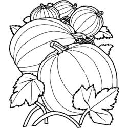 Раскраска: Осенний сезон (природа) #164310 - Бесплатные раскраски для печати