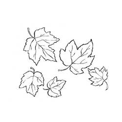 Раскраска: Осенний сезон (природа) #164376 - Бесплатные раскраски для печати