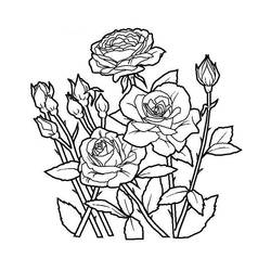 Раскраска: цветы (природа) #154978 - Раскраски для печати