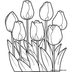 Раскраска: цветы (природа) #154985 - Раскраски для печати