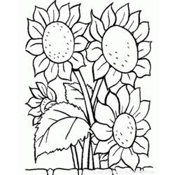 Раскраска: цветы (природа) #155000 - Раскраски для печати