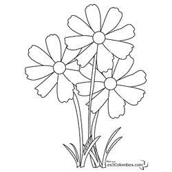 Раскраска: цветы (природа) #155003 - Раскраски для печати