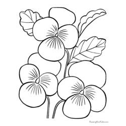 Раскраска: цветы (природа) #155085 - Раскраски для печати