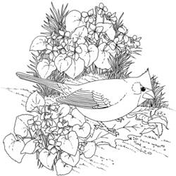 Раскраска: цветы (природа) #155090 - Бесплатные раскраски для печати