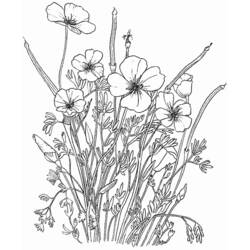 Раскраска: цветы (природа) #155094 - Бесплатные раскраски для печати