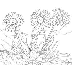 Раскраска: цветы (природа) #155116 - Бесплатные раскраски для печати