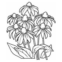 Раскраска: цветы (природа) #155142 - Раскраски для печати