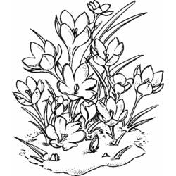 Раскраска: цветы (природа) #155170 - Бесплатные раскраски для печати