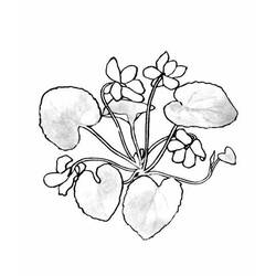 Раскраска: цветы (природа) #155218 - Бесплатные раскраски для печати
