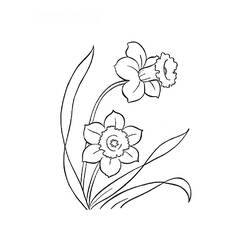 Раскраска: цветы (природа) #155250 - Раскраски для печати