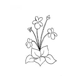 Раскраска: цветы (природа) #155252 - Бесплатные раскраски для печати