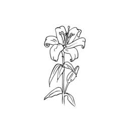Раскраска: цветы (природа) #155259 - Раскраски для печати