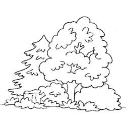 Раскраска: лес (природа) #157044 - Раскраски для печати