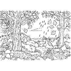 Раскраска: лес (природа) #157074 - Раскраски для печати