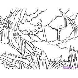 Раскраска: лес (природа) #157202 - Раскраски для печати