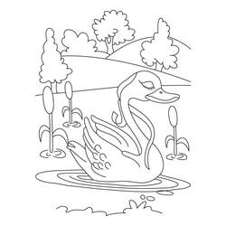 Раскраска: озеро (природа) #166076 - Раскраски для печати