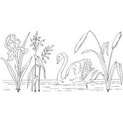 Раскраска: озеро (природа) #166100 - Раскраски для печати