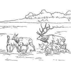 Раскраска: озеро (природа) #166158 - Раскраски для печати