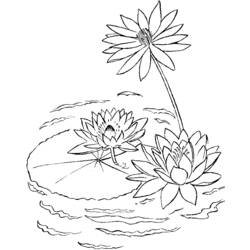 Раскраска: озеро (природа) #166200 - Раскраски для печати