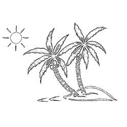 Раскраска: пальма (природа) #161114 - Раскраски для печати
