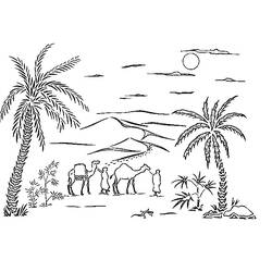 Раскраска: пальма (природа) #161118 - Раскраски для печати