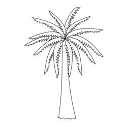 Раскраска: пальма (природа) #161137 - Раскраски для печати