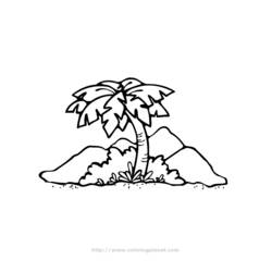 Раскраска: пальма (природа) #161169 - Раскраски для печати