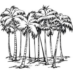 Раскраска: пальма (природа) #161177 - Раскраски для печати
