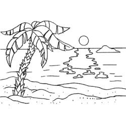 Раскраска: пальма (природа) #161210 - Раскраски для печати