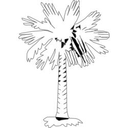 Раскраска: пальма (природа) #161228 - Раскраски для печати