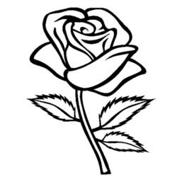 Раскраска: розы (природа) #161866 - Раскраски для печати