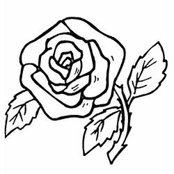 Раскраска: розы (природа) #161870 - Раскраски для печати