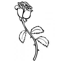 Раскраска: розы (природа) #161873 - Раскраски для печати