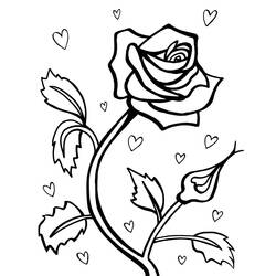 Раскраска: розы (природа) #161875 - Бесплатные раскраски для печати