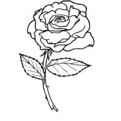 Раскраска: розы (природа) #161884 - Раскраски для печати