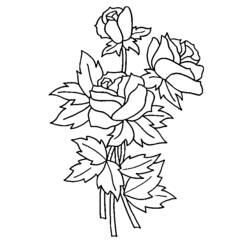Раскраска: розы (природа) #161895 - Раскраски для печати