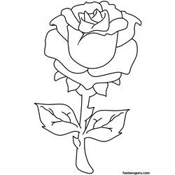 Раскраска: розы (природа) #161897 - Раскраски для печати