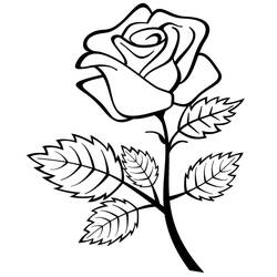 Раскраска: розы (природа) #161909 - Раскраски для печати