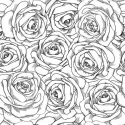 Раскраска: розы (природа) #161911 - Раскраски для печати