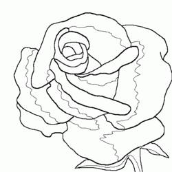 Раскраска: розы (природа) #161912 - Бесплатные раскраски для печати