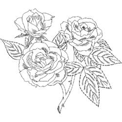 Раскраска: розы (природа) #161913 - Бесплатные раскраски для печати